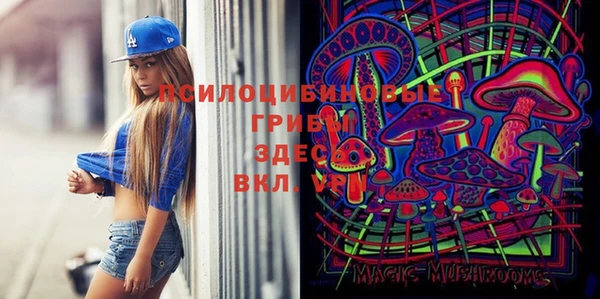 спайс Абдулино