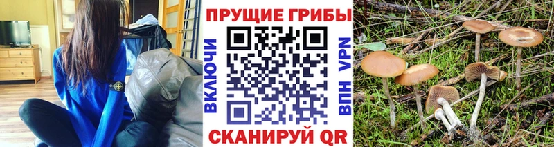 Галлюциногенные грибы мухоморы  Котельнич 