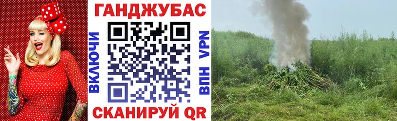 Канабис сатива  закладка  Котельнич 